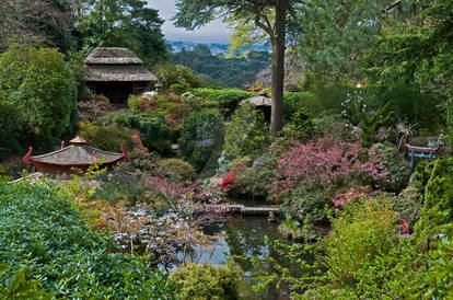 Japanese Garden