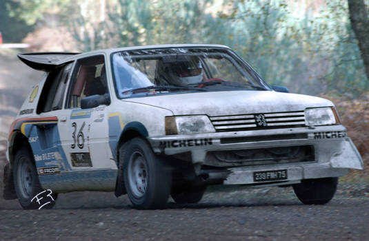 peugeot 205 rally