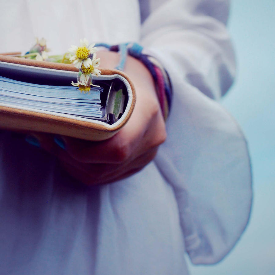dear diary by ninamokaka on DeviantArt
