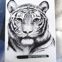 Tiger - SharpieArt