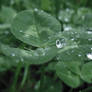 Raindrops 2