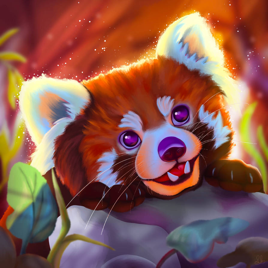 Red Panda by FlynnsDrawings on DeviantArt