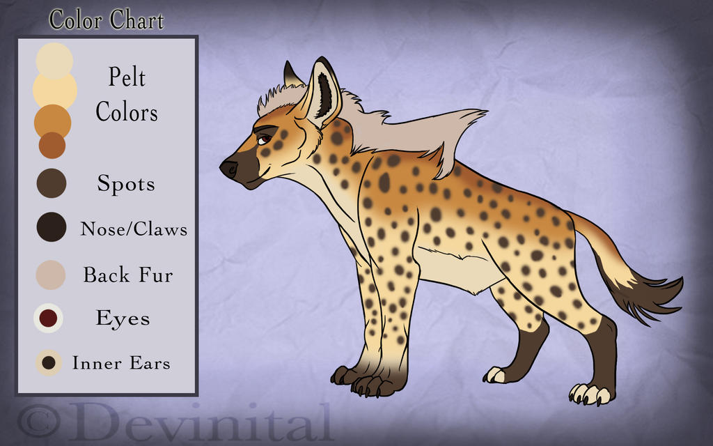 Hyena design for contest