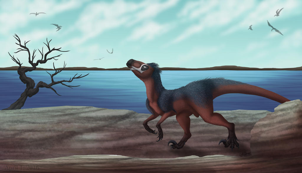 Space Raptor Deviantart A Raptor by the Sea by Devinital on DeviantArt