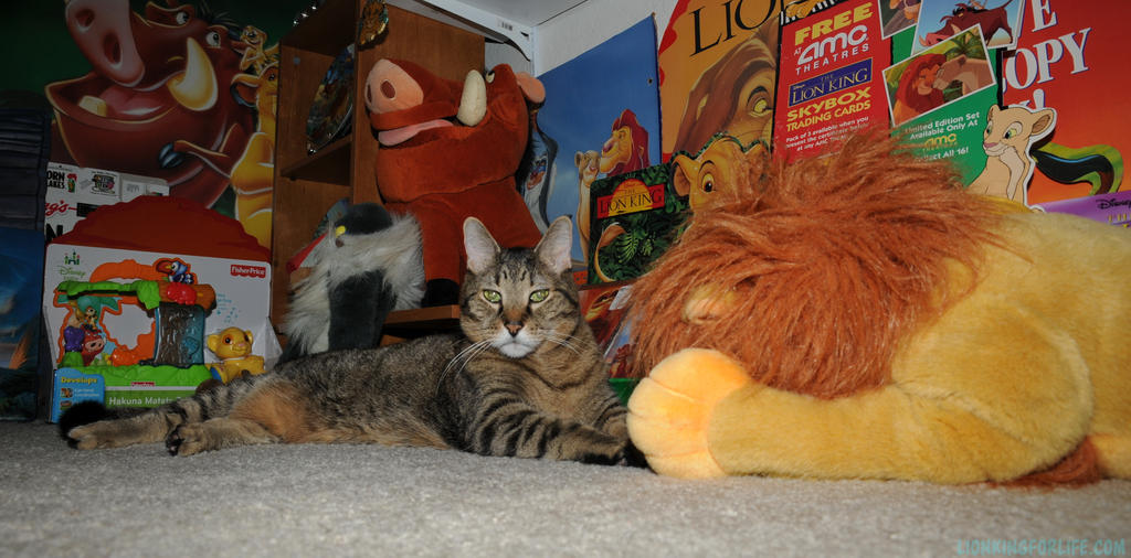 Jake and Simba by LionKingForLife on DeviantArt