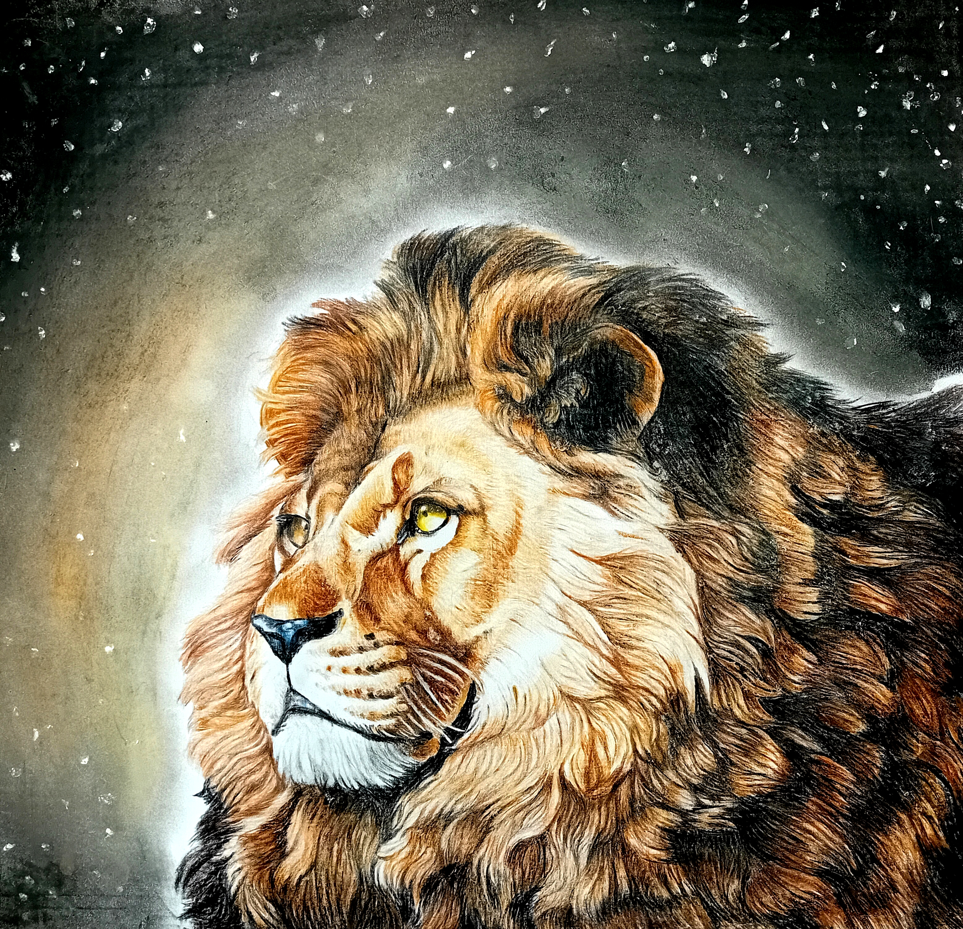 Narnia, aslan, lion, HD phone wallpaper