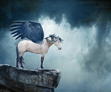 Buckskin Pegasus