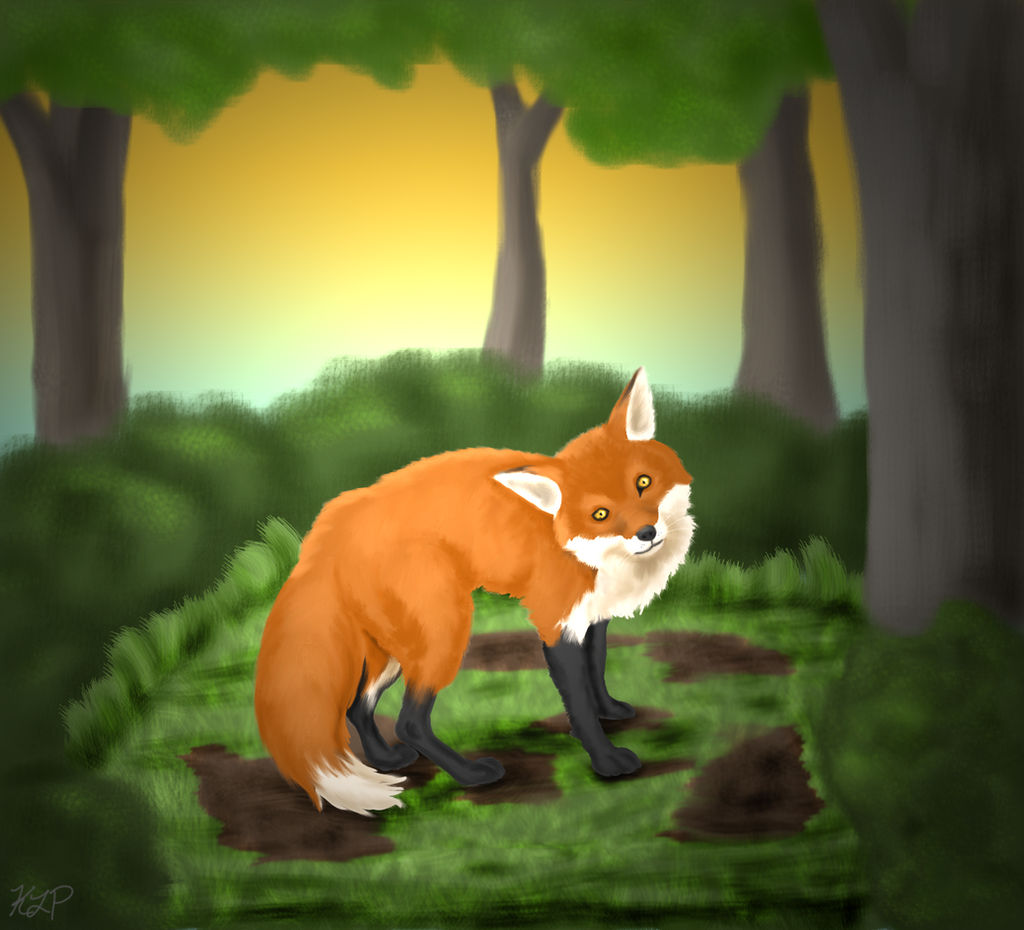 Fox Character Deviantart Fox by RainingTragedy on DeviantArt