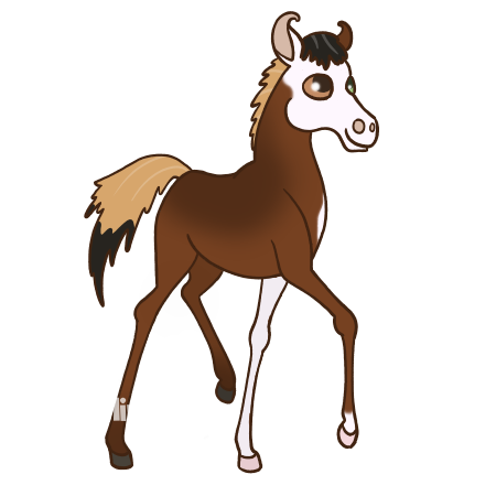 Ilu Foal