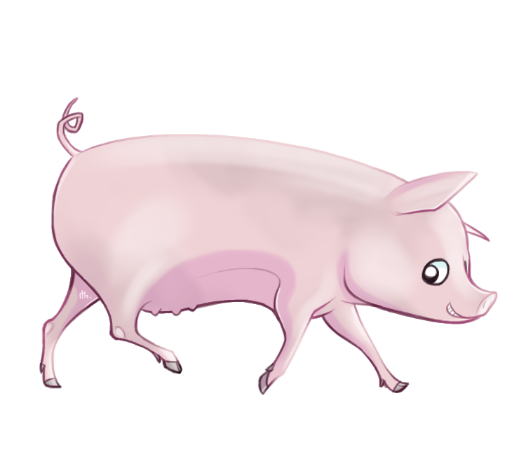 Pig