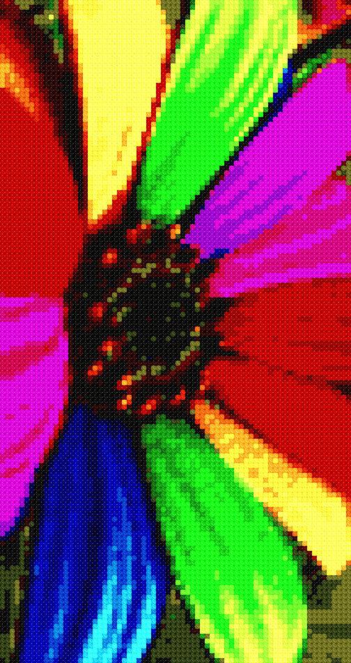 Rainbow Flower