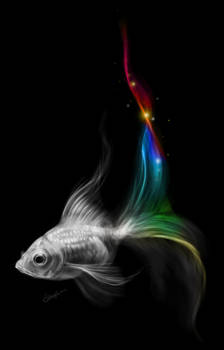 Rainbow goldfish