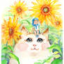 Postcard Cat and Sunflowers