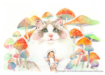 Postcard Cat and mushroom
