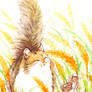 water color cat : autumn thatch