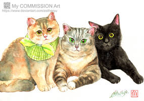 watercolor cat commission OPEN