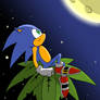 New Sonic