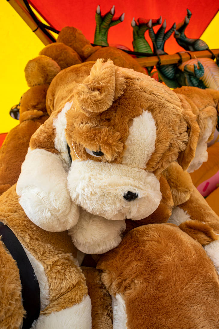 Carnival Prizes at the Perth Royal Show by PlushLoverAU on DeviantArt
