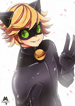 Chat Noir