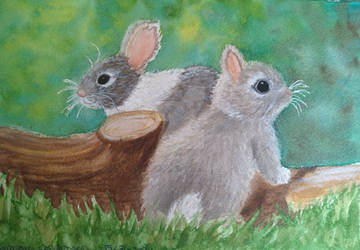 Bunnies in grass - Watercolor