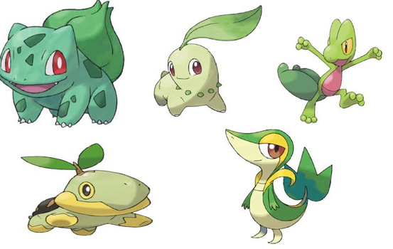 Best Grass Starter