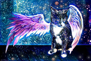 Galaxy Cat