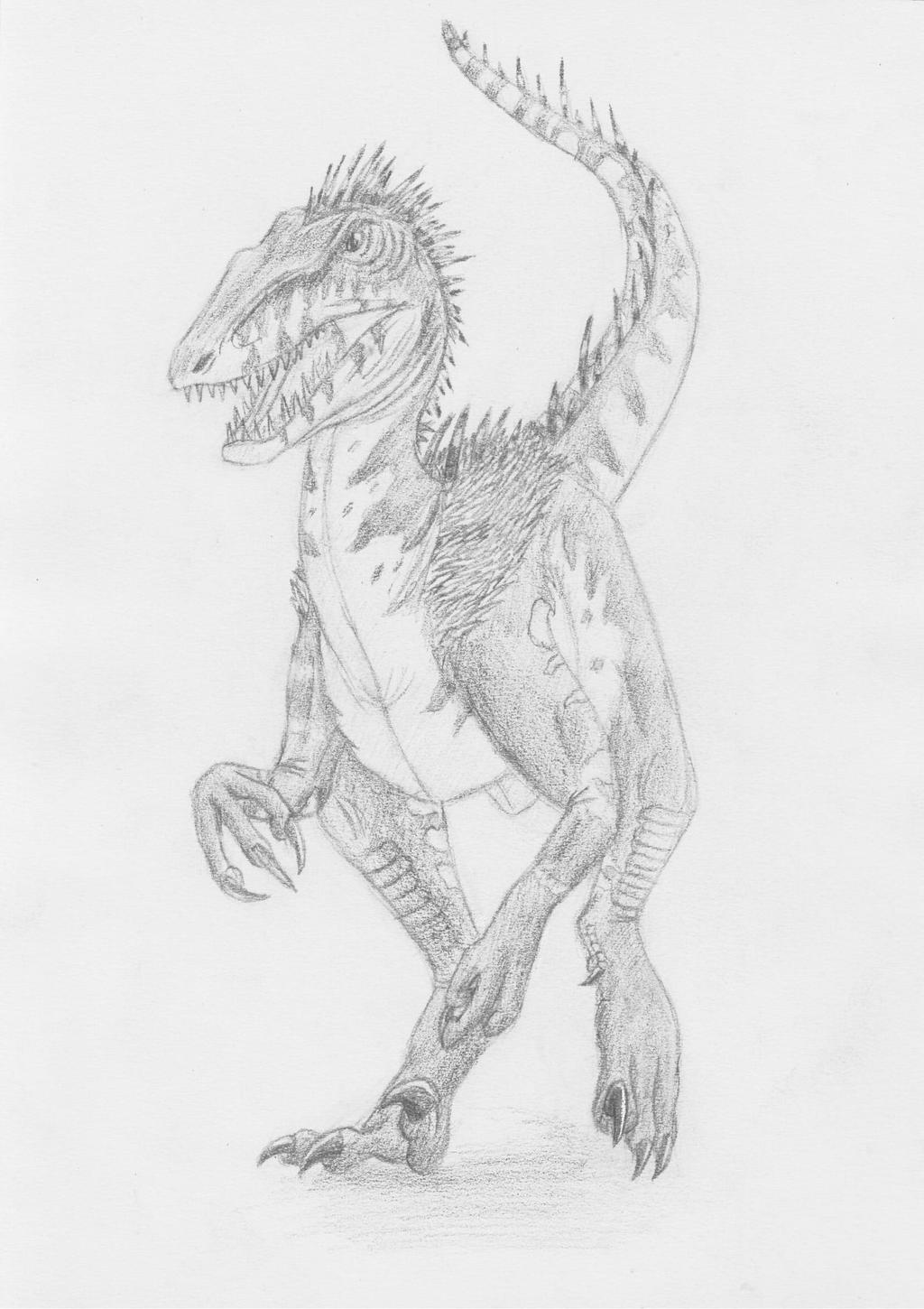 Primeval Raptor by Yurosiraptor-Rex on DeviantArt