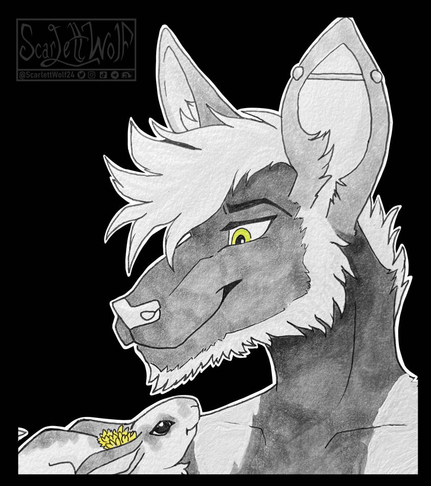 Kangaroo and their Rabbit by ScarlettWolf24 on DeviantArt