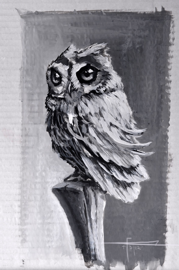 Owl Speed Painting