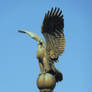 Eagle statue