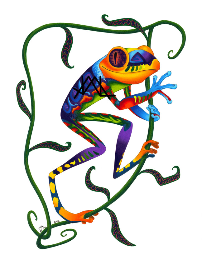 Oaxacan Tree Frog