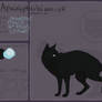 AW | Deadstar | Shadowclan Leader