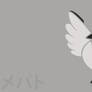 Pidove