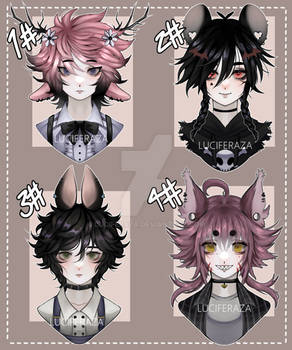 Auction Adopt [CLOSED] Batch