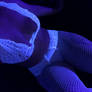 Black Light2