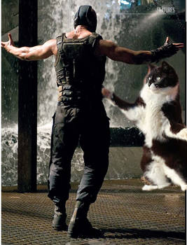bane and my cat