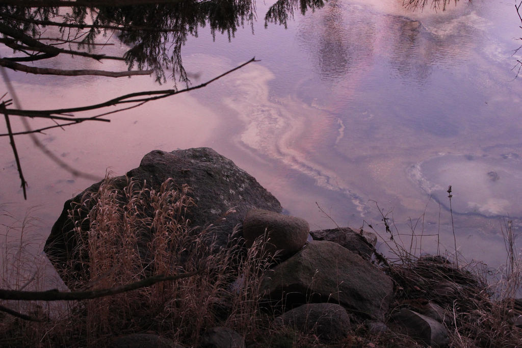 Pink Riverbank