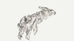 Rabbit Study by TiiaTanner