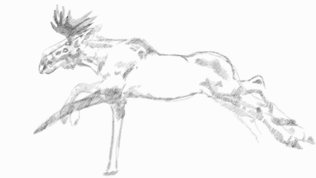 Moose Run Study