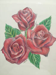 Original - Roses