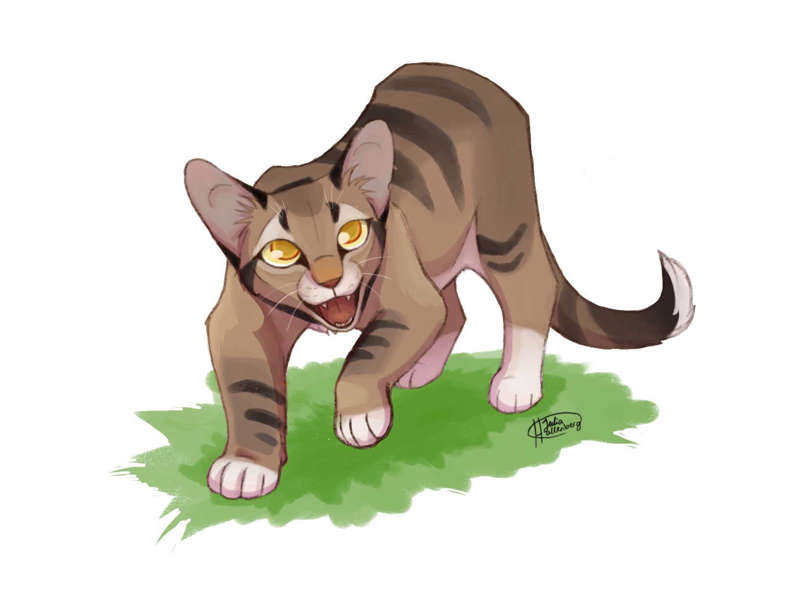 The Warrior Cats ShowThunderClan(Part 2) – WarriorCatsFanBlog