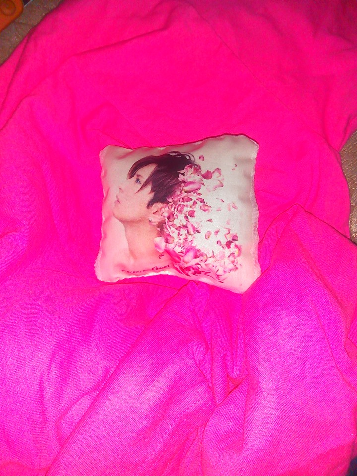 Gackt Mini Pillow