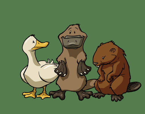 platypus