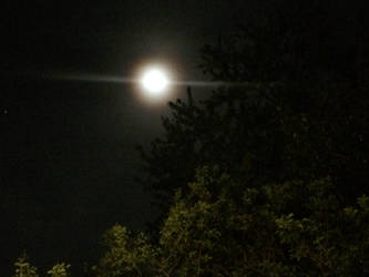 Noctilucent Moonlight