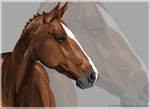 Chestnut Horse by ooBLACKNIGHTINGALEoo