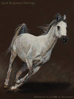 Grey Arabian - Acrylic Painting by ooBLACKNIGHTINGALEoo