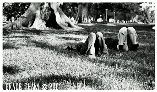 Beneath the Fig Tree