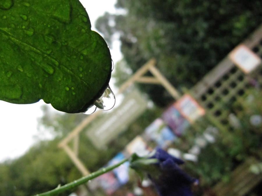 Supporting The Rain