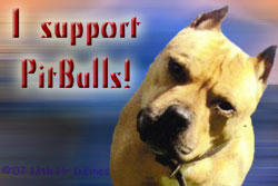 I Support PitBulls