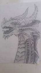 Dragon drawing 2